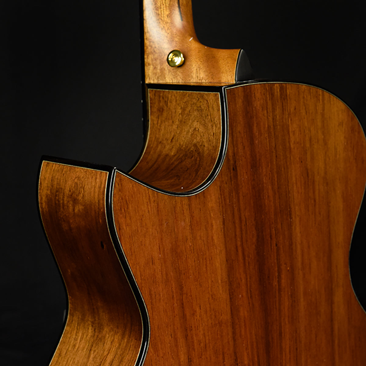 Blue Label | SJ Torrefied Adirondack Madagascar Rosewood Falcate | #225 GuitartoGo