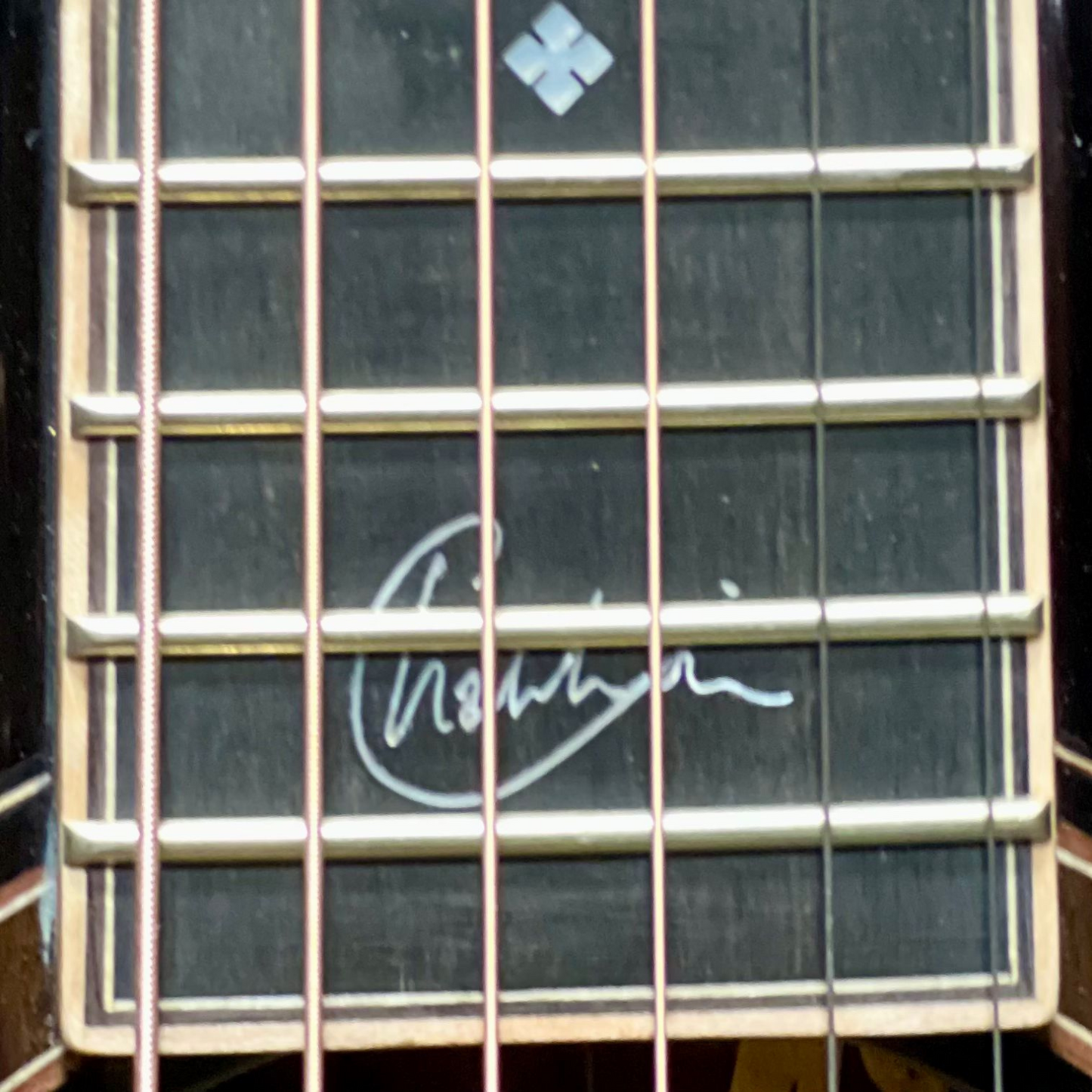 Red Label | OM Aged Sitka Spruce Indian Rosewood | Charlie Lim