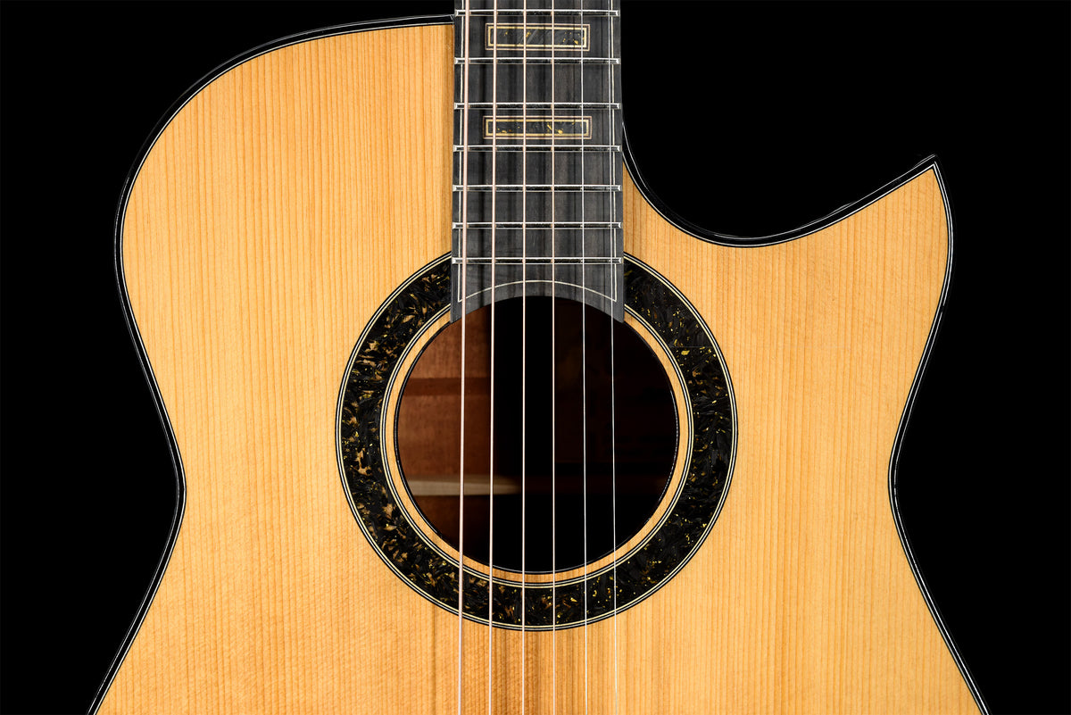When Archive Matters — Hozen Guitars