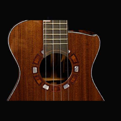 Green Label |Tenor Sinker Redwood Brazilian Rosewood