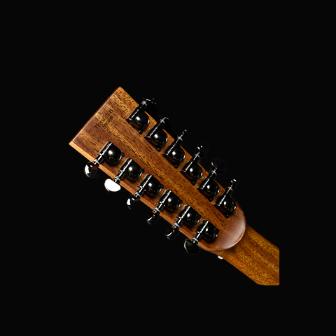 Red Label |  DR Torrefied Sitka African Mahogany 12 Strings