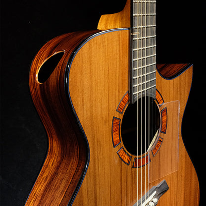 Blue Label | MJ Sinker Redwood Mexican Cocobolo #177 | Fan Fret Hold