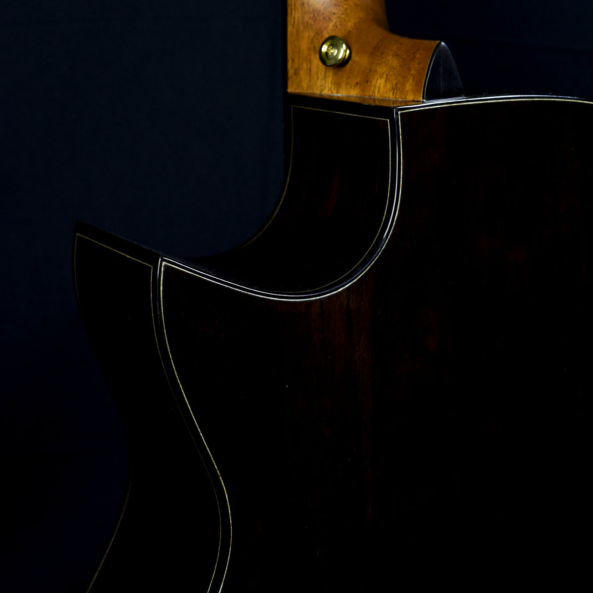 Blue Label | Deep OM Torrified Adirondack Madagascar Rosewood Falcate | #223 Hold