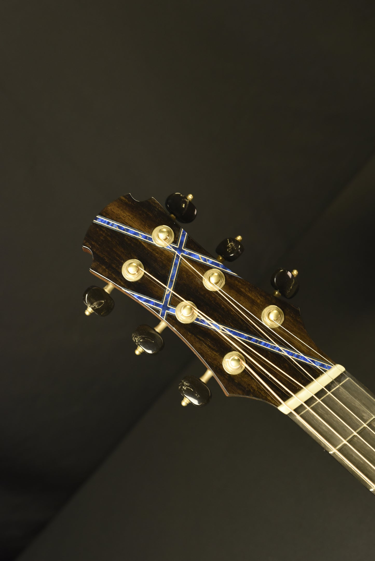 Blue Label | Deep OM Swiss Spruce Mexican Ziricote | #282 | Fan Fret