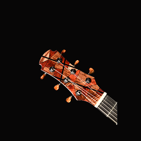 Blue Label | SJ Golden Adirondack Indian Rosewood | #270 SixStrings Collective UK