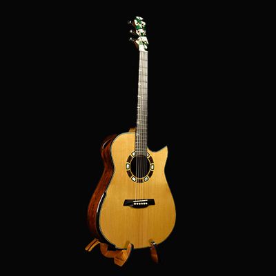 Blue Label | MD Golden Adirondack Mexican Cocobolo Falcate | #250 JP TRIPPER'S GUITAR