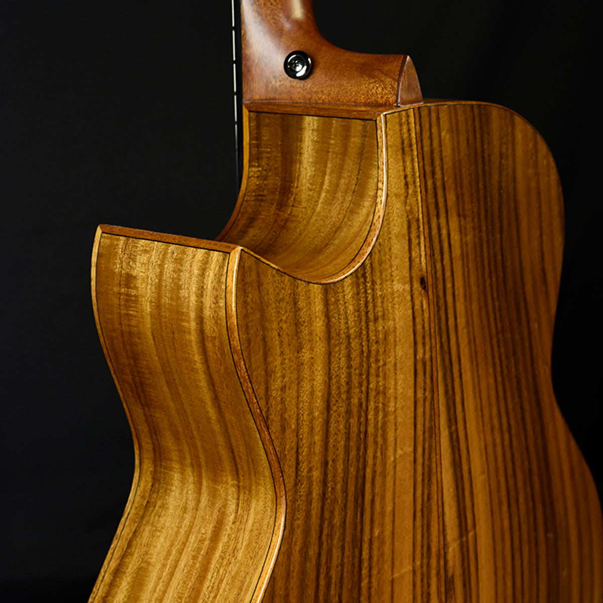 Black Label | SJ Adirondack Pacific Koa Fan Fret