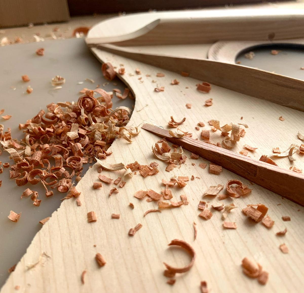 The Living Voice — Hozen Guitars