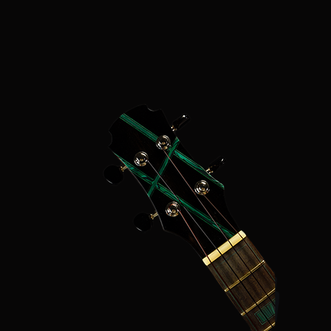 Green Label | Tenor German Spruce Indian Rosewood | Green Burst